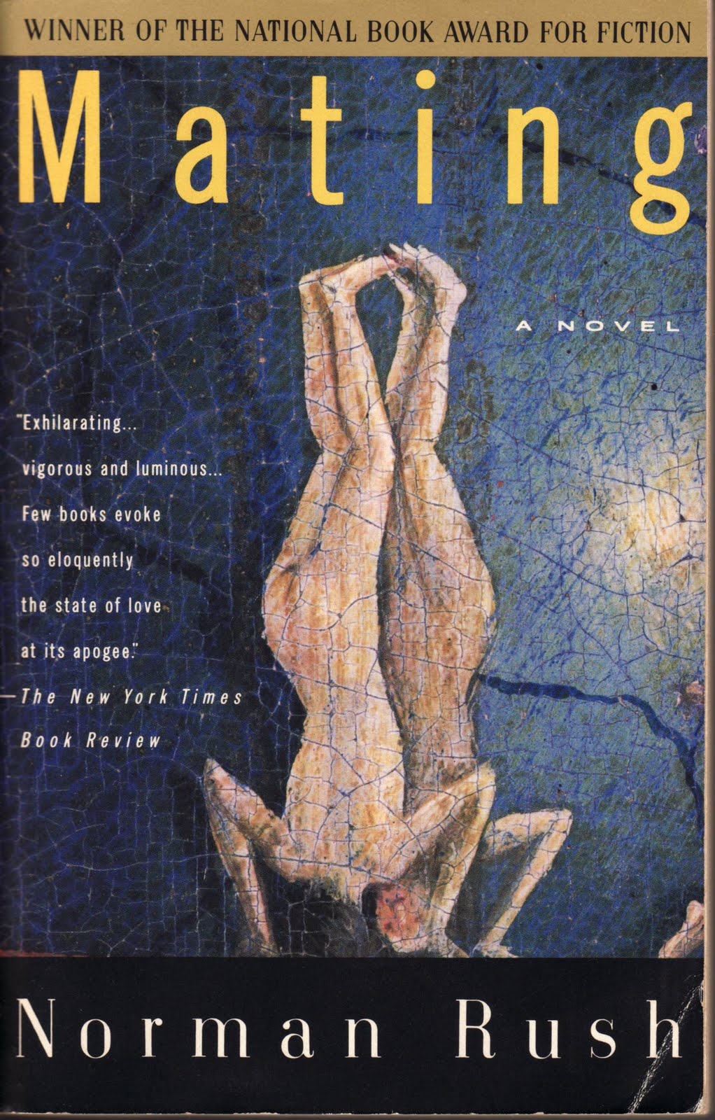 mating by norman rush book cover