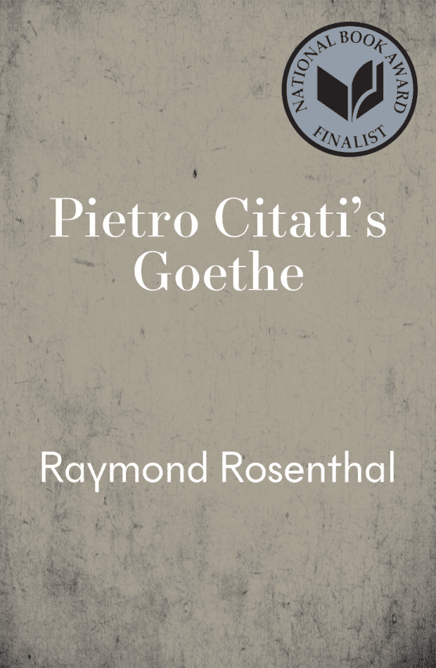 Goethe by Pietro Citati, Raymond Rosenthal (Translator)