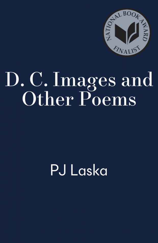 cover for D. C. Images And Other Poems by P J Laska
