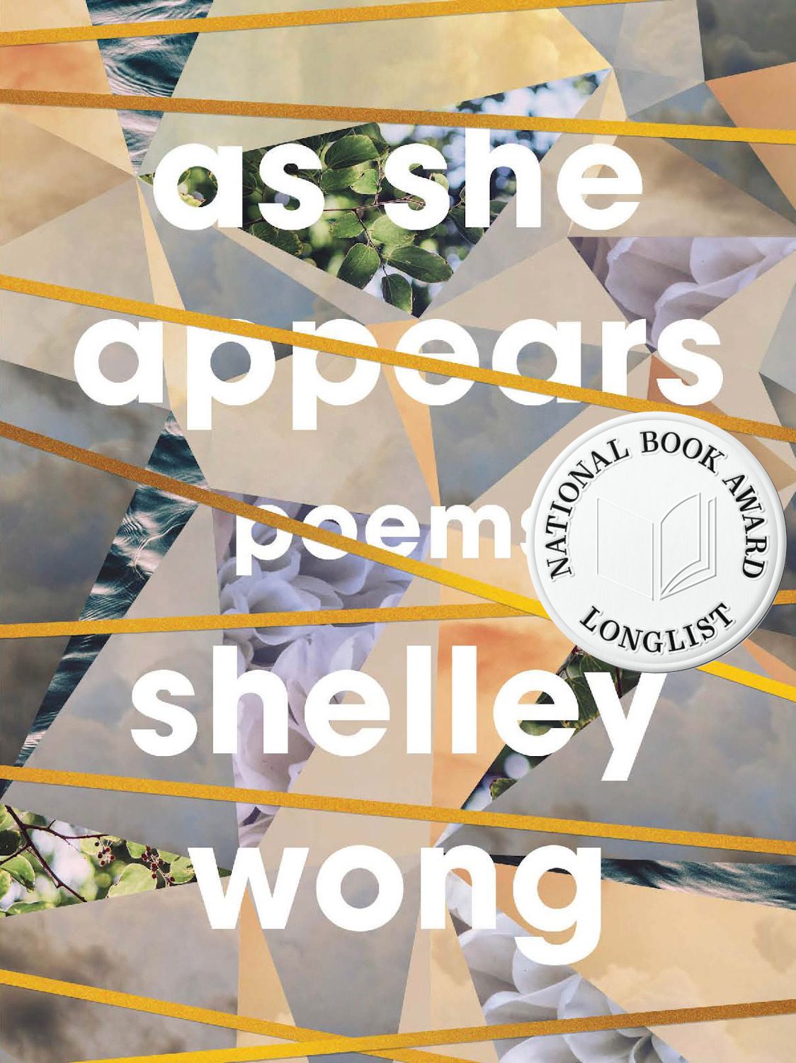 book cover for Shelley Wong, As She Appears