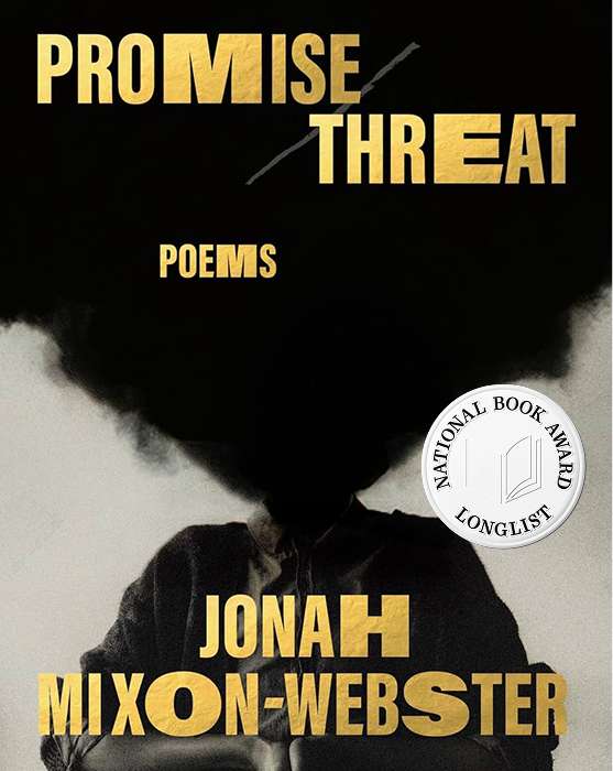 Promise/Threat book cover