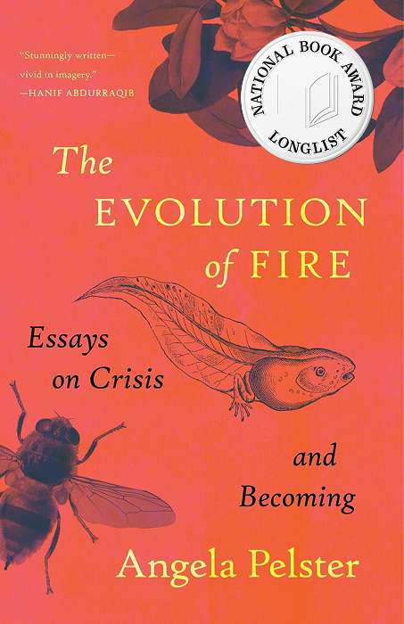 The Evolution of Fire: Essays on Crisis and Becoming book cover