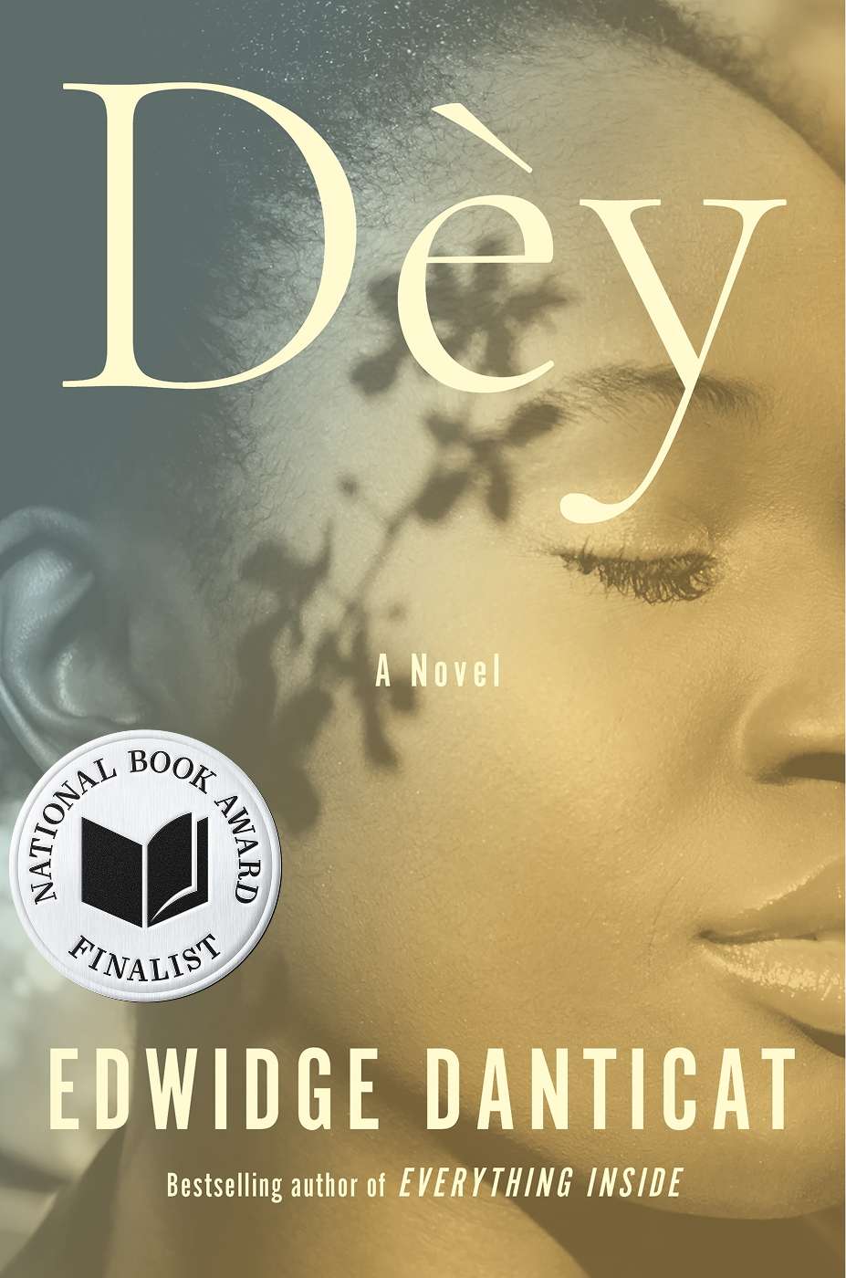 dey book cover with finalist medallion